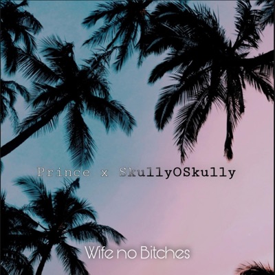 Wife no Bitches (feat. SkullyOSkully) - Single