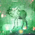 Ghost Lemurs