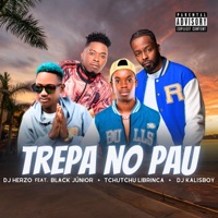 Trepa no Pau (feat. Black Júnior, Tchutchu Librinca & DJ Kalisboy) - Single - DJ Herzo