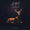 Line of Fire (feat. Sharon Van Etten) - Junip