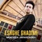 Dele Ashegh - Morteza Jafarzadeh lyrics