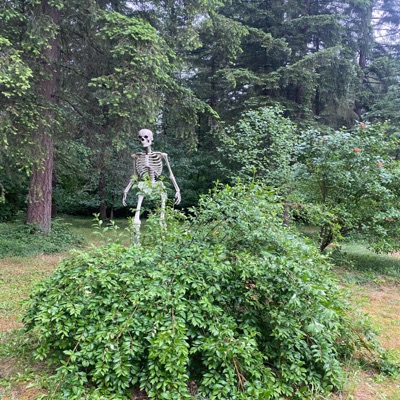 Closed Curtain (Radio Edit) - Single