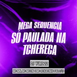 Mega Sequencia Só Paulada na Tchereca DJ Yure 22, MC MN, MC Renatinho Falcão & Mc Mozin