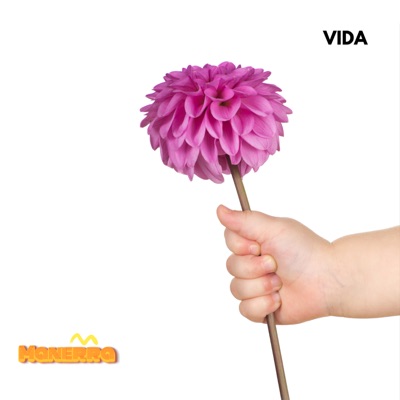 Vida - Single