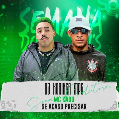 Se Acaso Precisar - Single