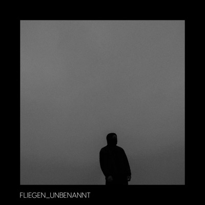_FLIEGEN - Single