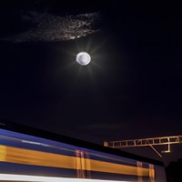 Fathy's Mood Dub (feat. Fathy Salama) - Single - Twanz