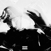 Thugbaby 2 - LIONAIRE