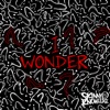 I Wonder - Single