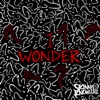 I Wonder - Single
