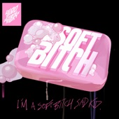 Soft Bitch (feat. Ally Ahern) artwork