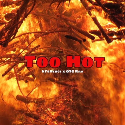 TØØ HØT / Gangsta (feat. OTG Ray) - Single