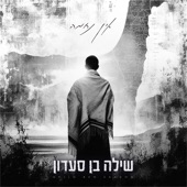 אין נחמה artwork