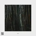 Cedar
