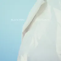Summer Slow Down — Black Twig