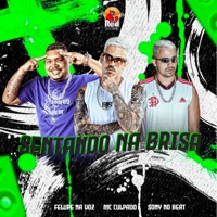 Sentando na Brisa - Single - MC Culpado, Felupe & Sony no beat