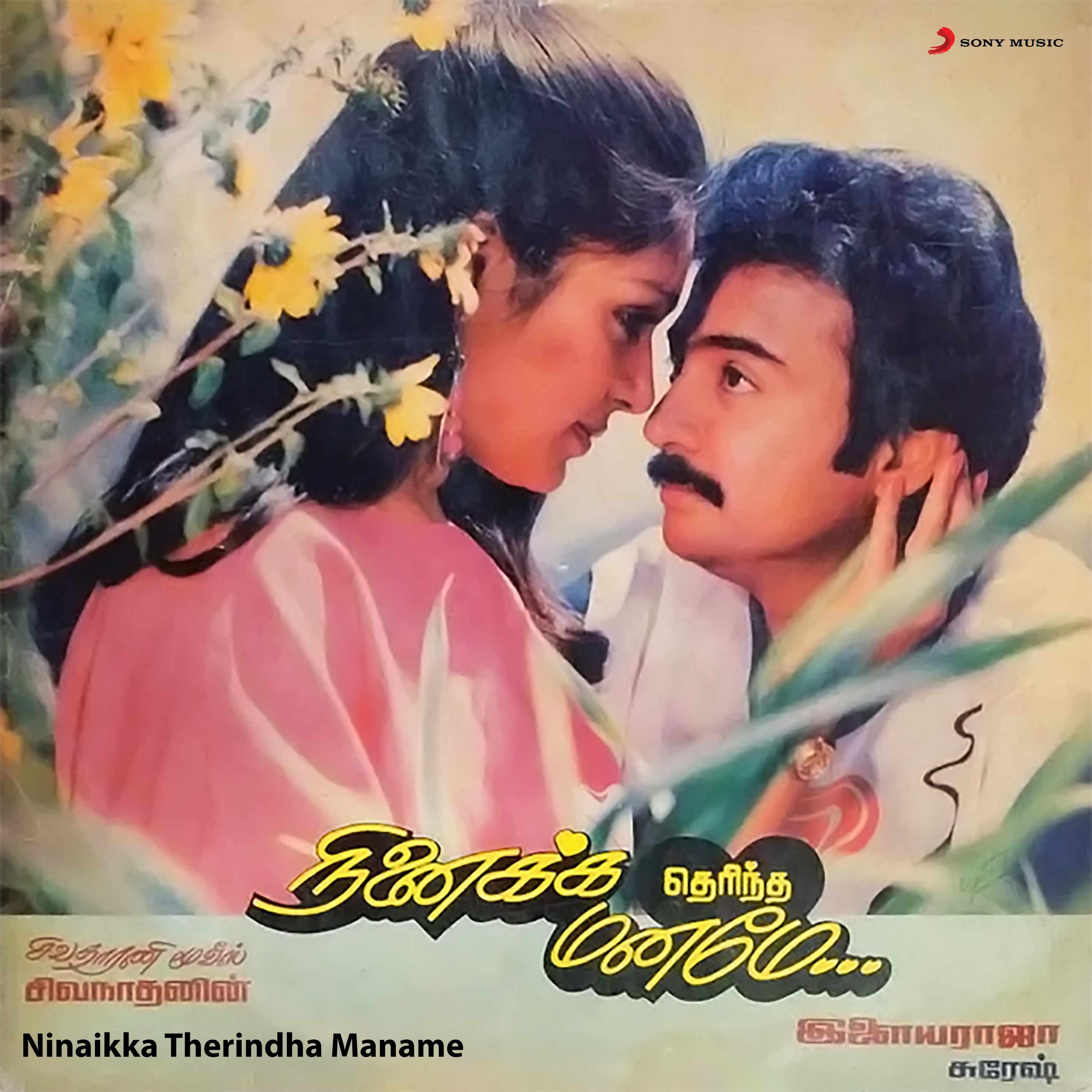 Mano & S. Janaki - Chinna Raasaavae Chitterumbu