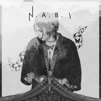 N.A.B.I - Chino Sanchez