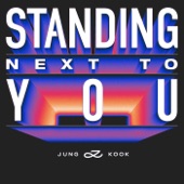 Standing Next to You (The Remixes) artwork