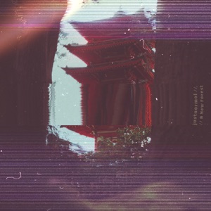 A New Forest - Single
