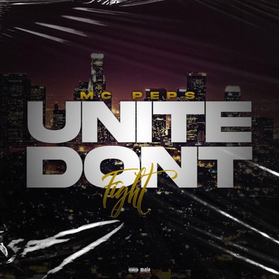 Unite Don't Fight - Single