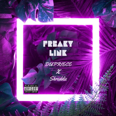 Freaky Link (feat. Shreddie) - Single
