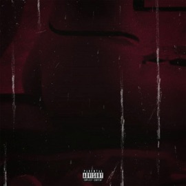 Тerminal Vi TryF & G.Robin