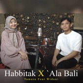 Habbitak X 'Ala Bali artwork