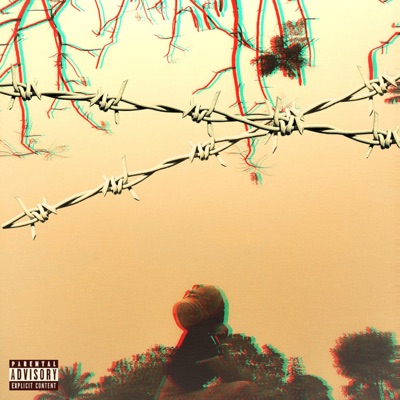 Circles - Single