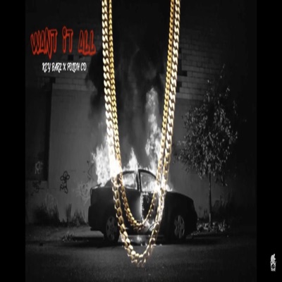 Want It All (feat. Poloh Co) - Single