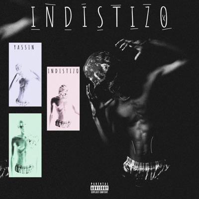 Indistizo - EP