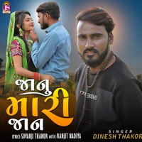 Janu Mari Jan (Original) - Single - Dinesh Thakor