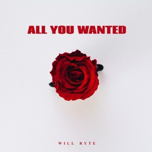 All You Wanted
