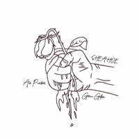 SHE a HOE (feat. Ace Parker) - Single - Gavin Gilson