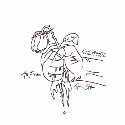 SHE a HOE (feat. Ace Parker) - Single
