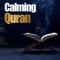 أمانة رسول - The Holy Quran & Zikrullah lyrics