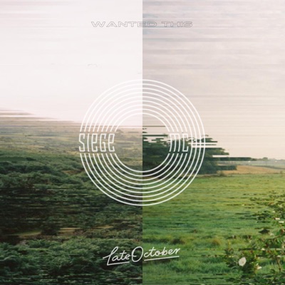 Wanted This - Single