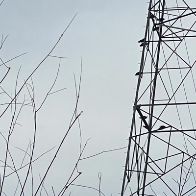 i feel as if i've failed myself - Single