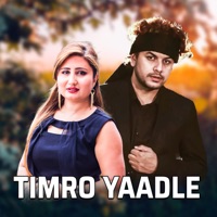 Timro Yaadle (Extended Version) [feat. Anju Panta & Pramod Kharel] - Single - Aayush Chhetri