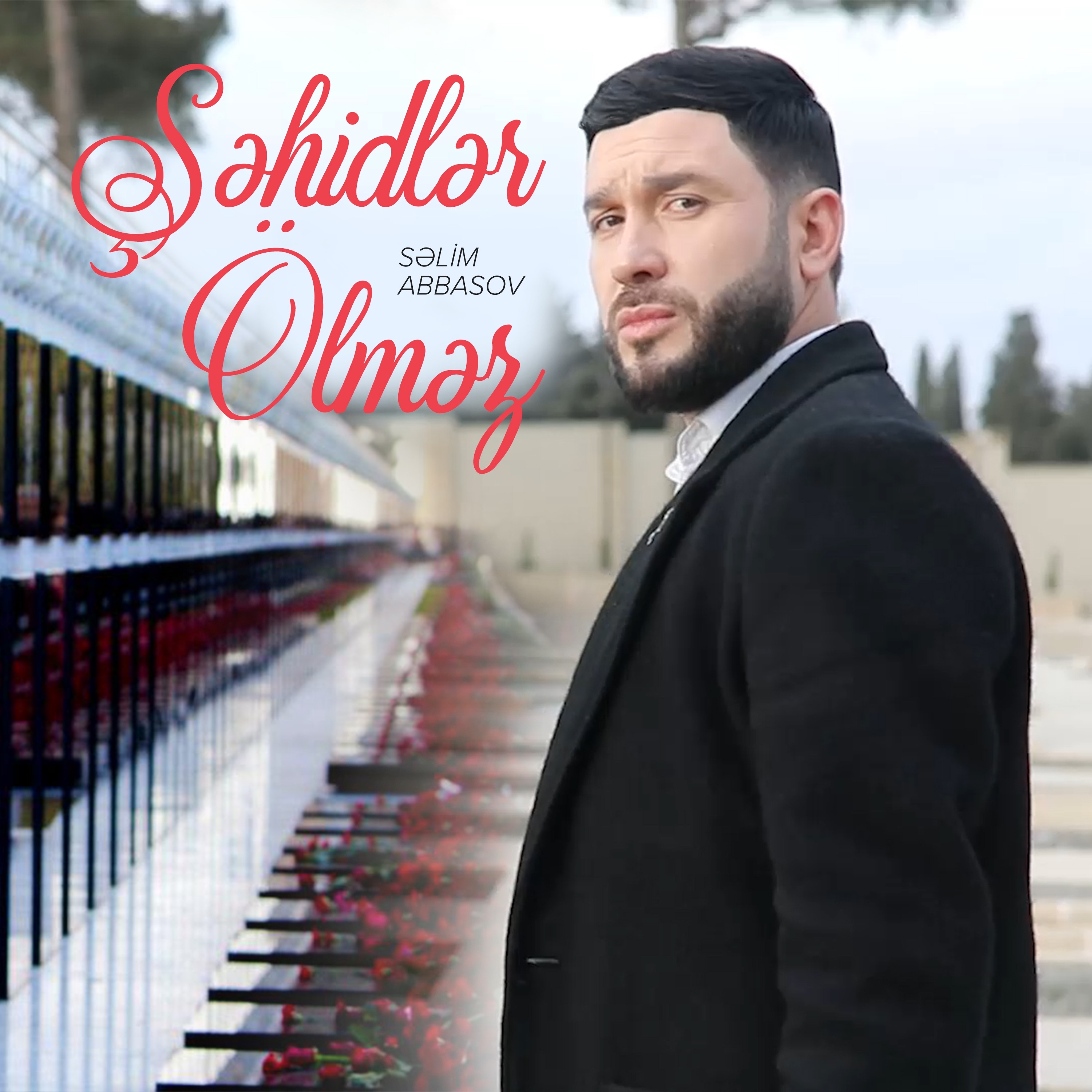 Səlim Abbasov - Şəhidlər ölməz
