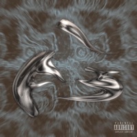 Pipe Down (feat. Rob the Bank) - Single - Webstr