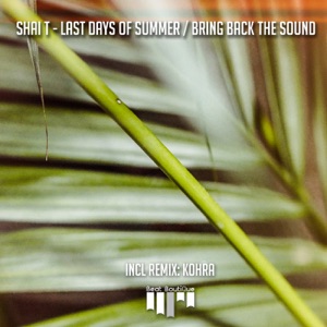 Last Days of Summer / Bring Back the Sound - Single