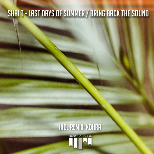 Last Days of Summer / Bring Back the Sound - Single
