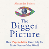 The Bigger Picture - Alexander Beiner