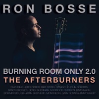 Burning Room Only 2.0 (The Afterburners) [feat. Gary Novak] - EP - Ron Bosse