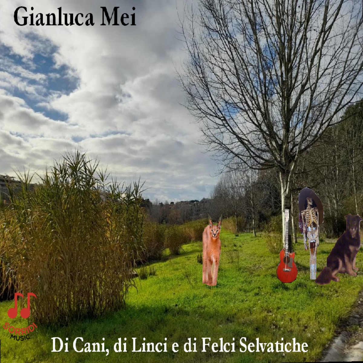 Di Cani, di Linci e di Felci Selvatiche – Album par Gianluca Mei – Apple  Music