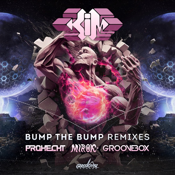 Bump The Bump Remixes - Single