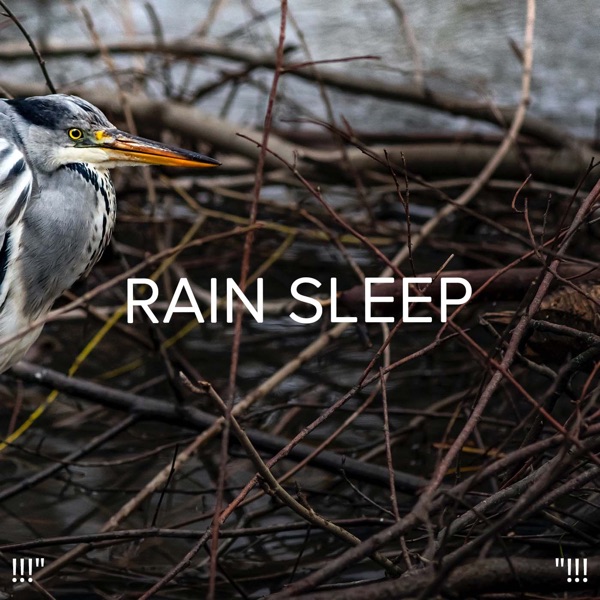 !!!" Rain Sleep "!!!