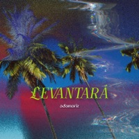 LEVANTARA (feat. CallemJJ) - Single - adamariz