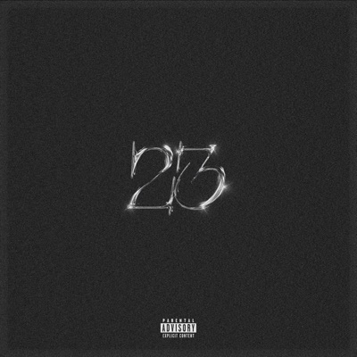 23 - Single